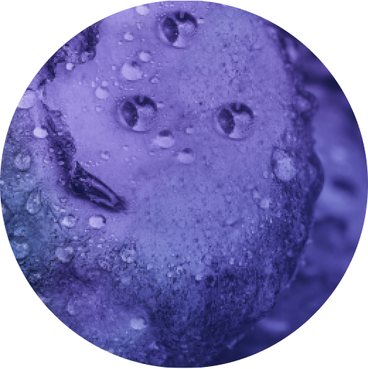 VEEV ONE Blueberry e-liquid pod 